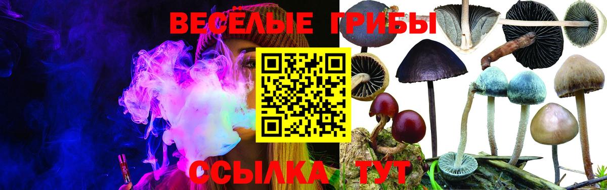 Галлюциногенные грибы Psilocybine cubensis Верхний Уфалей
